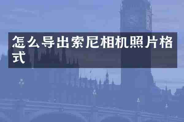 怎么导出相机照片格式