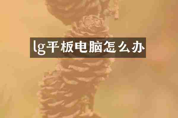 lg平板电脑怎么办