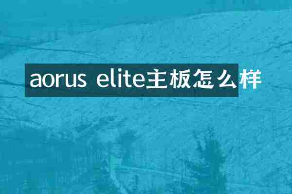 aorus elite主板怎么样