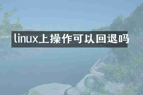 linux上操作可以回退吗