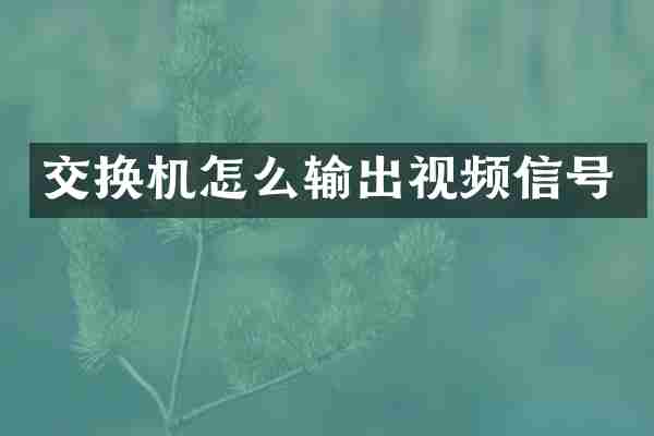 交换机怎么输出视频信号