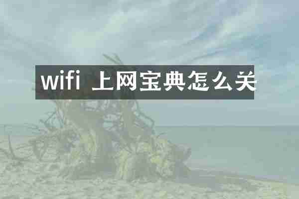 wifi 上网宝典怎么关