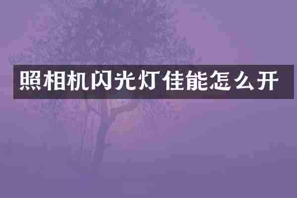 照相机闪光灯佳能怎么开