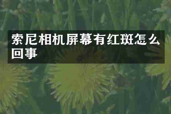相机屏幕有红斑怎么回事