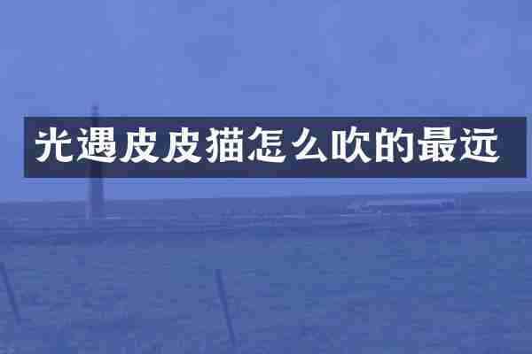 光遇皮皮猫怎么吹的最远