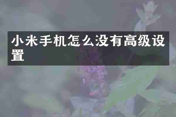 小米手机怎么没有高级设置