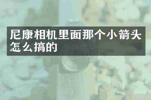 尼康相机里面那个小箭头怎么搞的