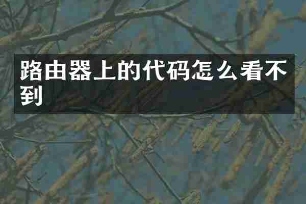 路由器上的代码怎么看不到
