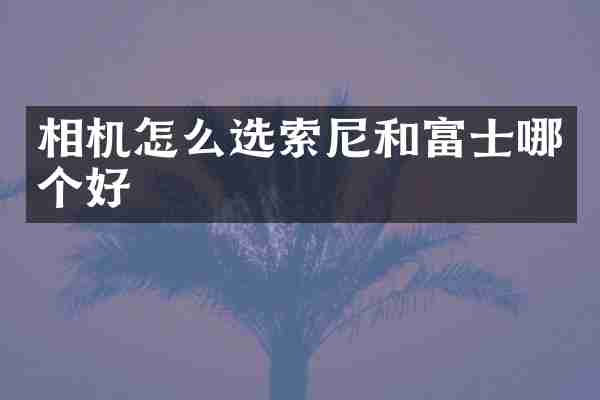 相机怎么选和富士哪个好