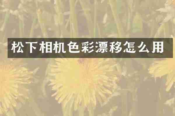 相机色彩漂移怎么用