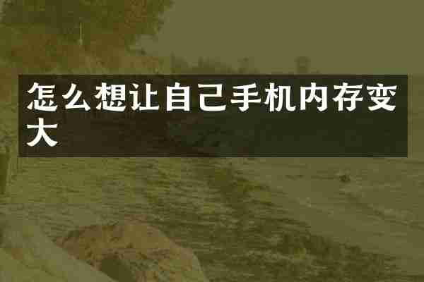 怎么想让自己手机内存变大