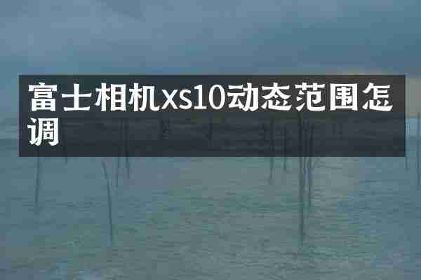 富士相机xs10动态范围怎么调