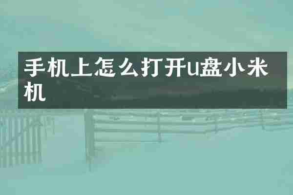 手机上怎么打开u盘小米手机