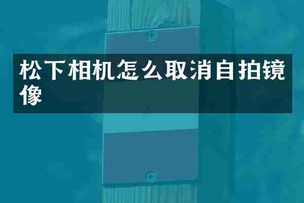 相机怎么取消镜像