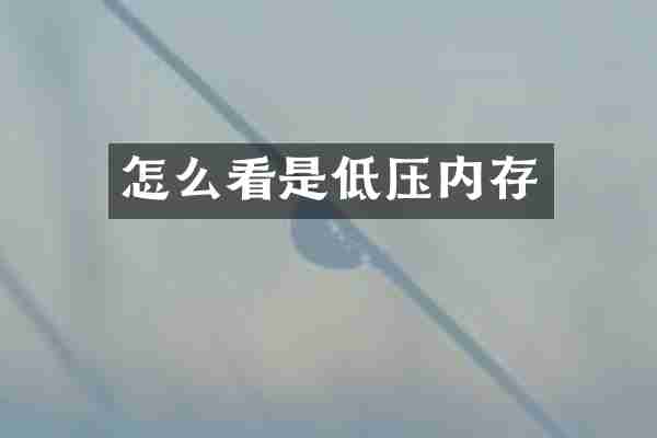 怎么看是低压内存