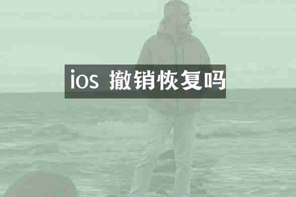 ios 撤销恢复吗