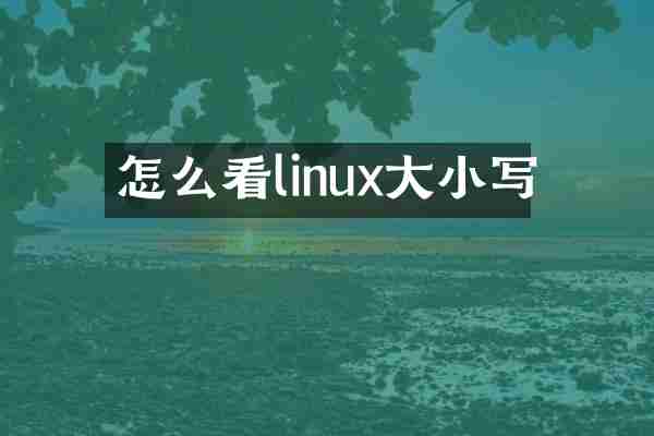 怎么看linux大小写