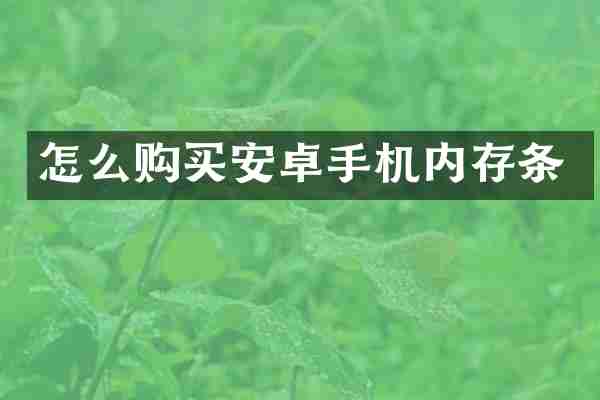 怎么购买安卓手机内存条