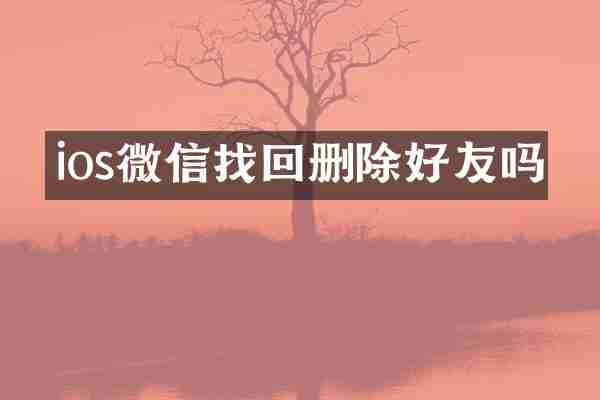 ios微信找回删除好友吗