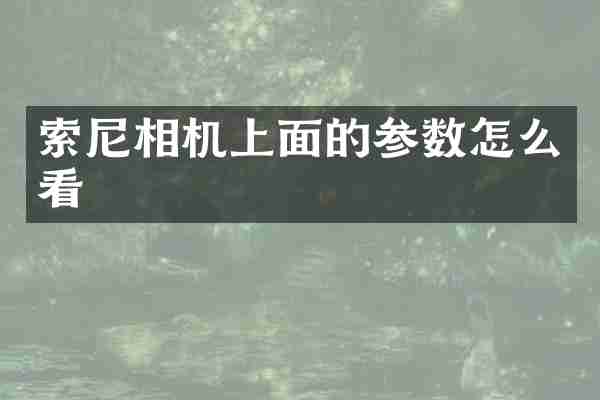 索尼相机上面的参数怎么看