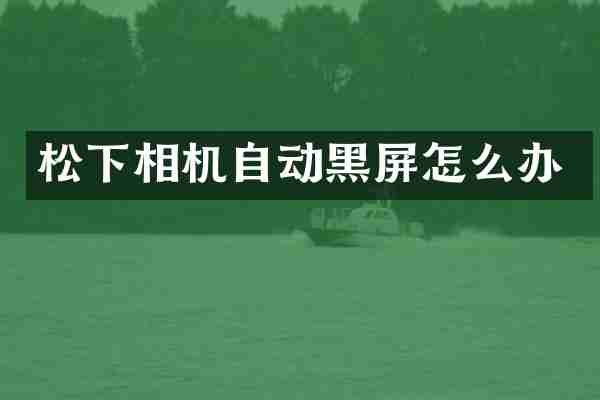 相机自动黑屏怎么办