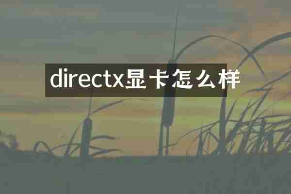 directx显卡怎么样