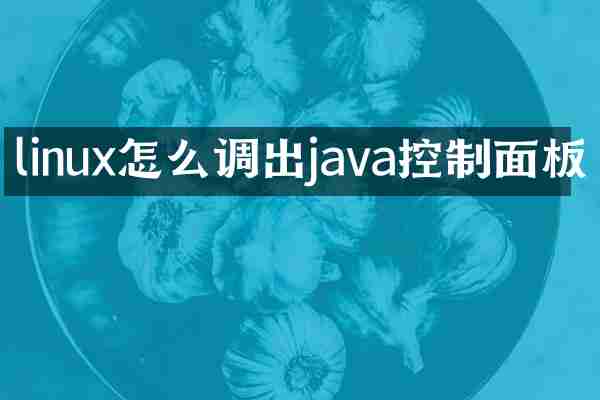 linux怎么调出java控制面板