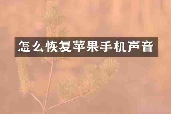 怎么恢复苹果手机声音