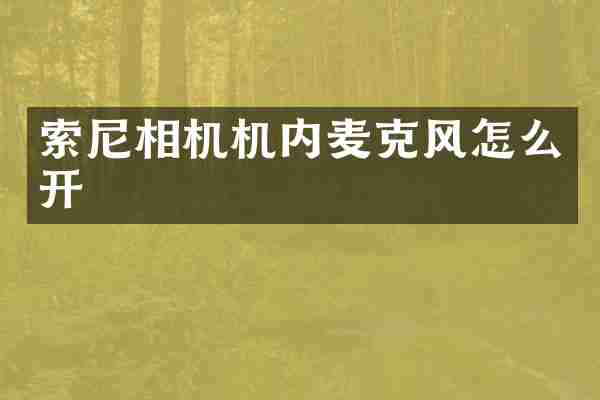 索尼相机机内麦克风怎么开