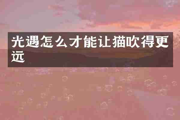 光遇怎么才能让猫吹得更远