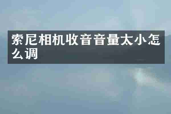 索尼相机收音音量太小怎么调