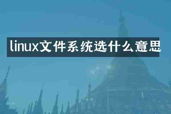 linux文件系统选什么意思