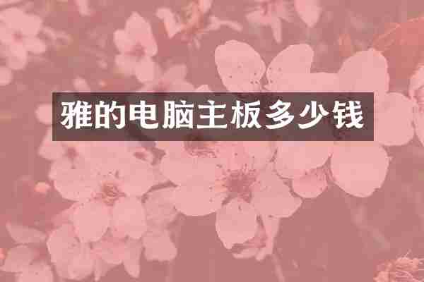 雅的电脑主板多少钱