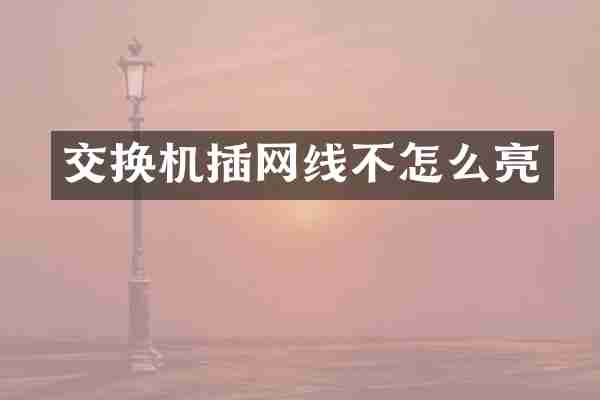 交换机插网线不怎么亮