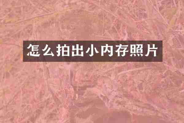 怎么拍出小内存照片
