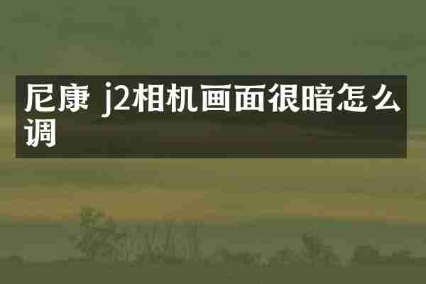 尼康 j2相机画面很暗怎么调