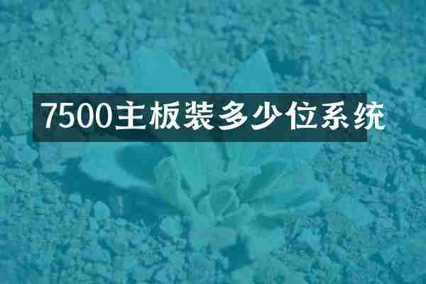 7500主板装多少位系统