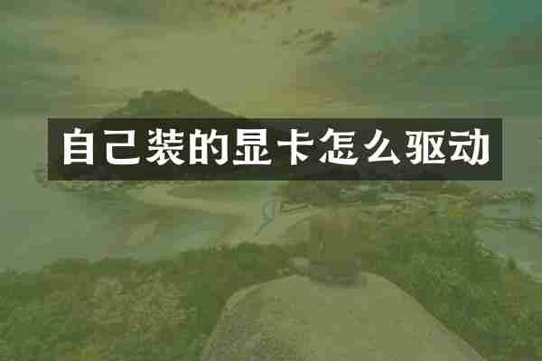 自己装的显卡怎么驱动
