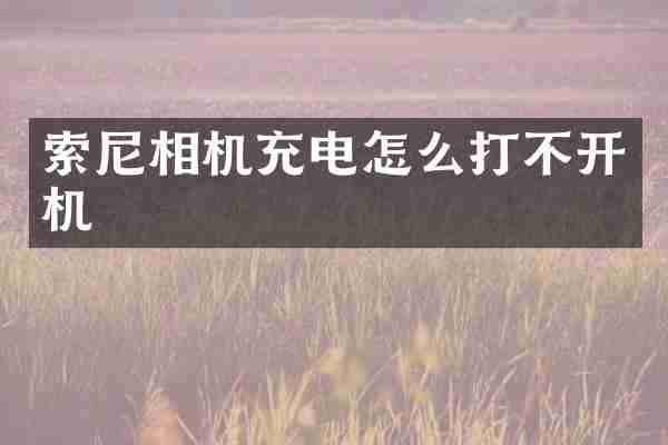索尼相机充电怎么打不开机