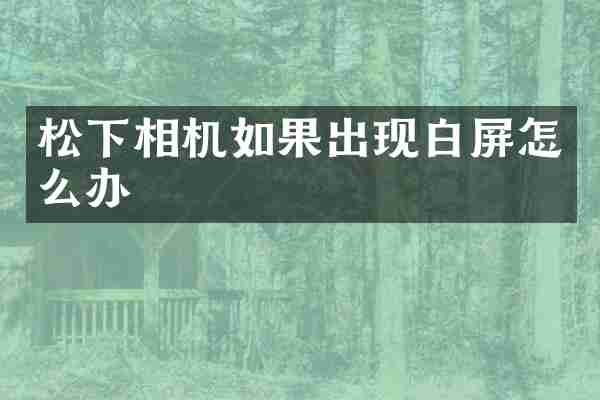 松下相机如果出现白屏怎么办