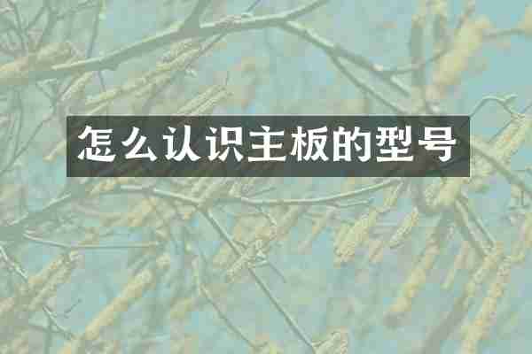怎么认识主板的型号