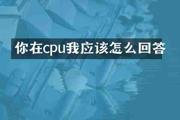 你在cpu我应该怎么回答