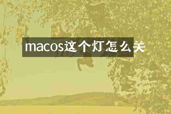 macos这个灯怎么关