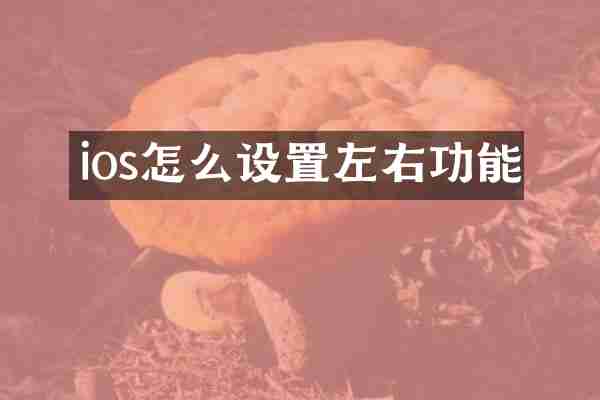 ios怎么设置左右功能
