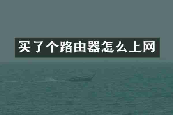 买了个路由器怎么上网