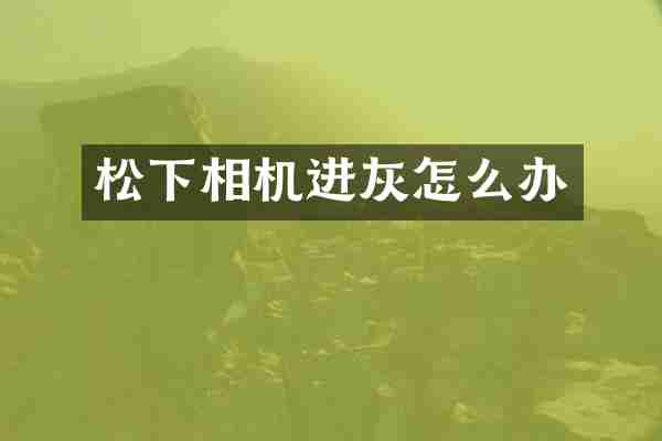 松下相机进灰怎么办