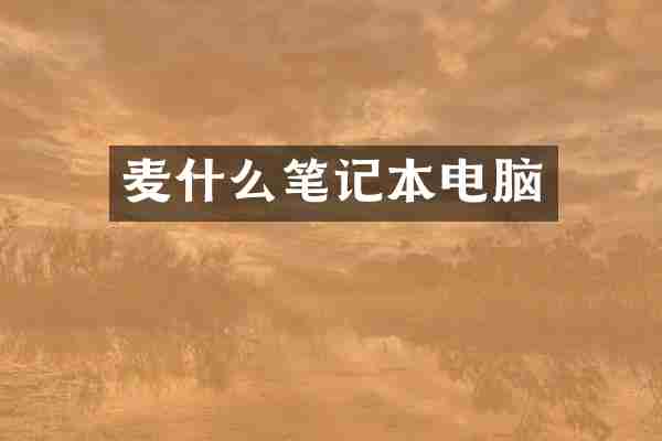 麦什么笔记本电脑