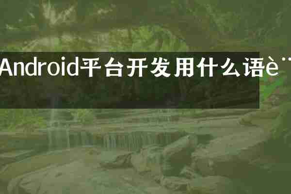 Android平台开发用什么语言
