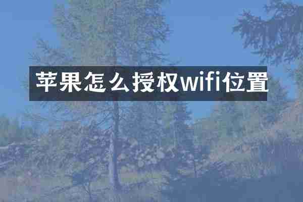 苹果怎么授权wifi位置