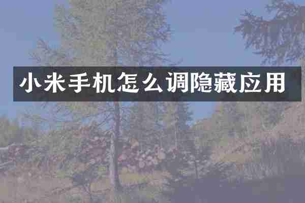 小米手机怎么调隐藏应用